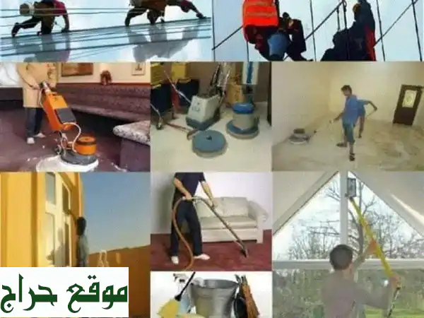 مكافحة حشرات جدة: تخلص من الحشرات نهائياً واحمِ عائلتك!