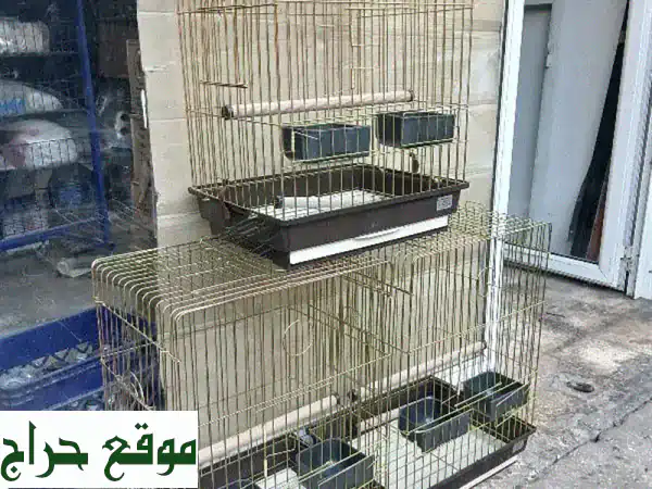 فراخ روز مروضه + أقفاص كروان - فرصة مميزة ببيروت!