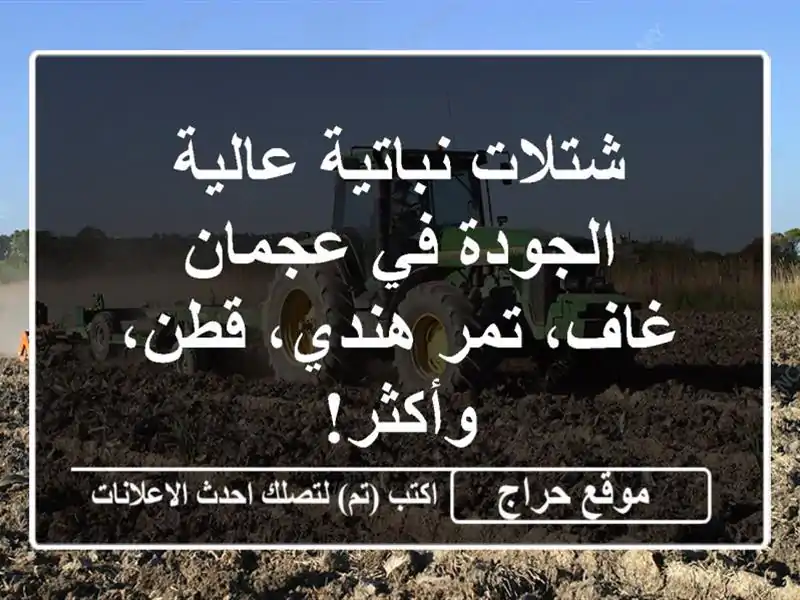 شتلات نباتية عالية الجودة في عجمان - غاف، تمر...