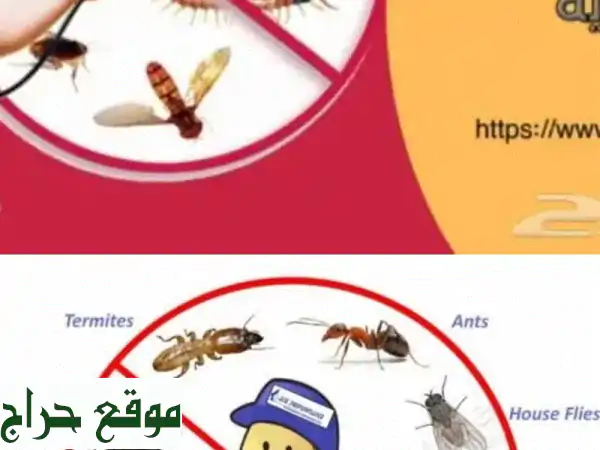 ودّع الحشرات نهائيًا مع [اسم الشركة]! مكافحة...