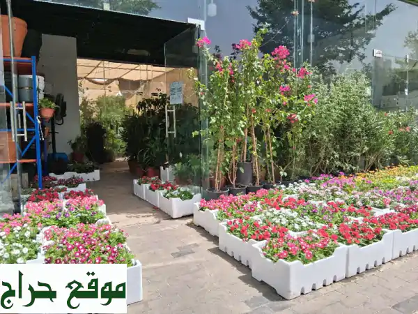 أزهارٌ تُزهرُ حياتك.. أشجارٌ تُظلُّ مستقبلك! | مشتل...