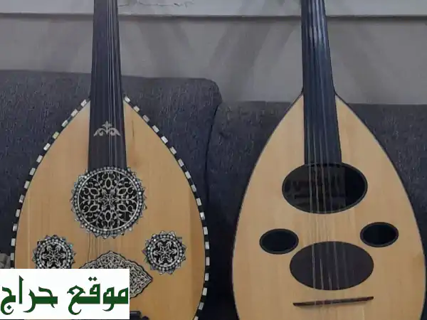 عودين شرقين: صوت طربي واحترافي بسعر مميز!
