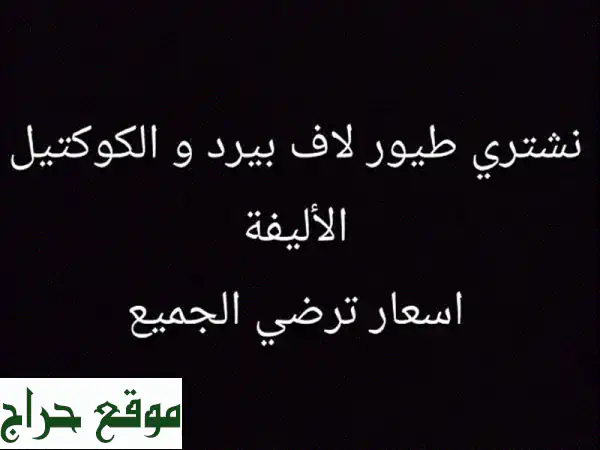 نُشتري طيور الحب (لاف بيرد) والكوكتيل الأليفة...