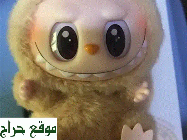فرصة ذهبية! دراجات وهبات مستعملة بحالة ممتازة بأسعار لا تُقاوم!