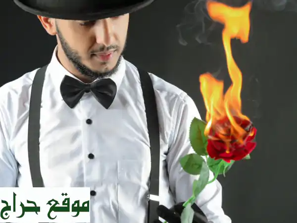 أحلامك تصبح حقيقة! عروض سحرية مذهلة تُبهر الحضور