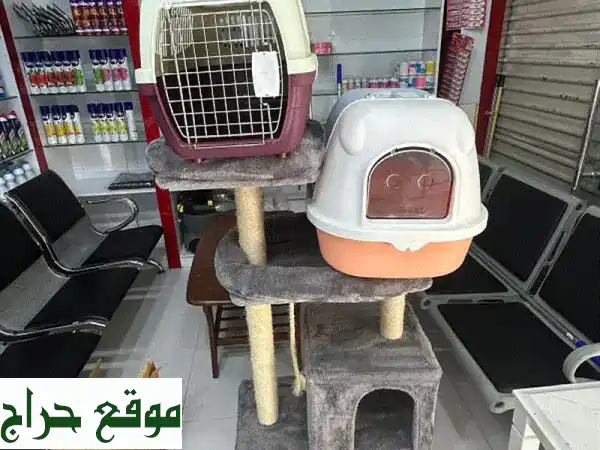 اكسسوارات قطط مستعملة بحالة ممتازة -  وفر المال...