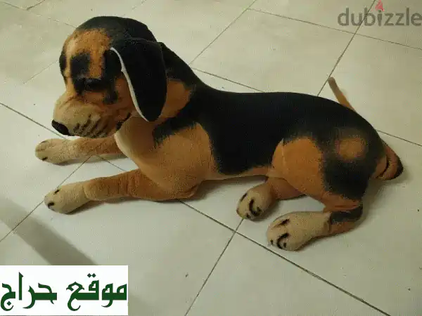 🐶 كلب محشو ناعم للغاية - هدية مثالية لأطفالك! 🧸
