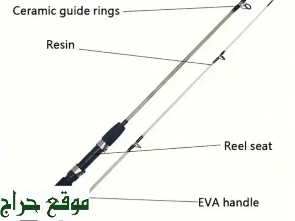 استمتع بصيد الأسماك مع مجموعة الصيد الاحترافية! 🎣