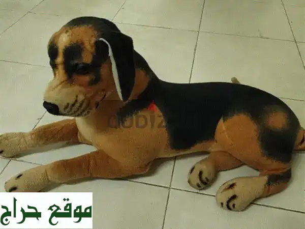 🐶 كلب محشو ناعم للغاية - هدية مثالية لأطفالك! 🧸
