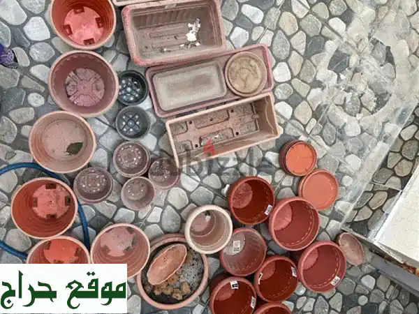 أحواض نباتات كالجديدة!  وفر المال مع حالتها الممتازة.