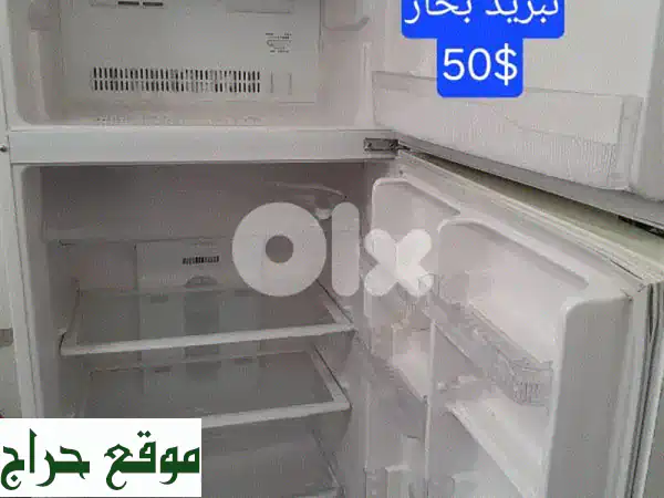 صيدا. . .