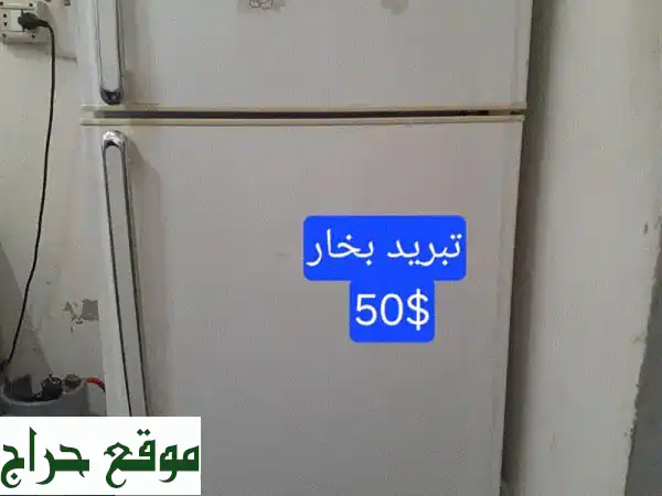صيدا. . .