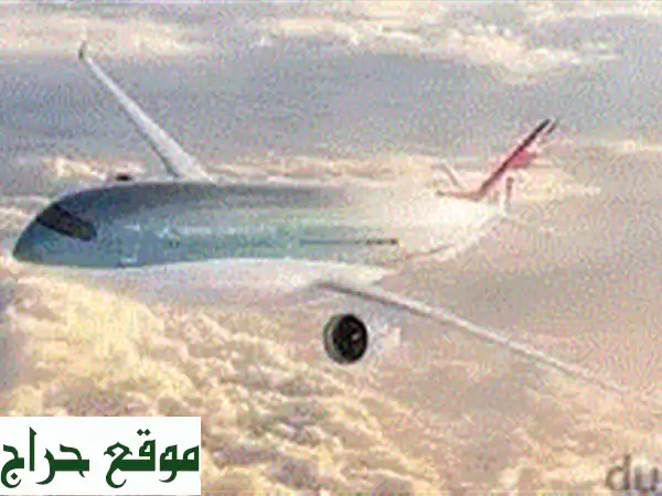 تذكرتان ذهبيتان لحفل تامر حسني - فرصة ذهبية لا تُفوّت!