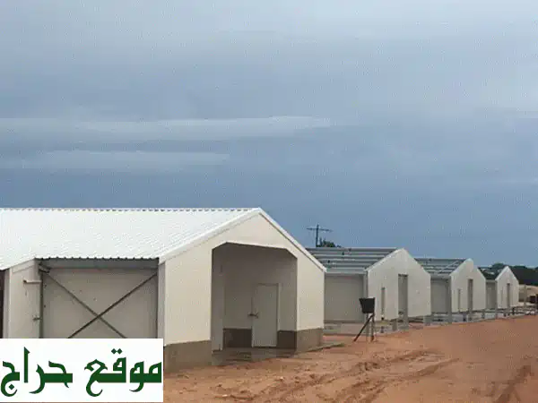 مقاول حظائر دواجن في أنحاء المملكة في عالم تربية الدواجن، اختيار مقاول حظائر دواجن محترف ليس ...