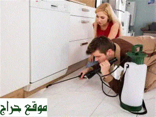 مكافحة حشرات جدة - دلة جدة: تخلص من الحشرات نهائياً!...