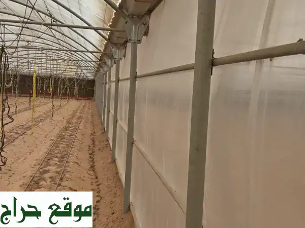بيوت مستعملة للبيع في ميامي - أسعار مميزة وجودة عالية!