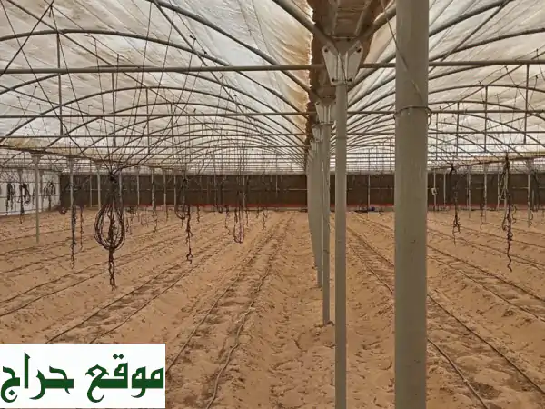 بيوت مستعملة للبيع في ميامي - أسعار مميزة وجودة عالية!
