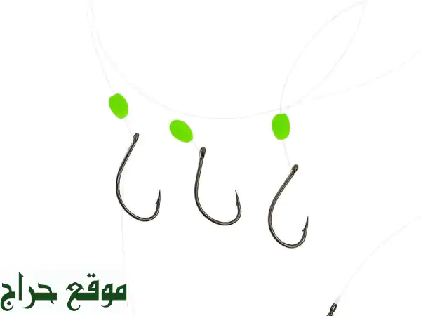 استمتع برحلة بحرية لا تُنسى! 🎣 عروض خاصة على...