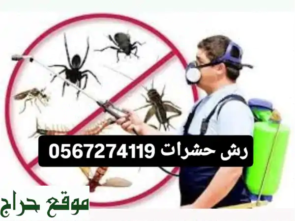مكافحة حشرات الصراصير والبق في المدينة المنورة -...