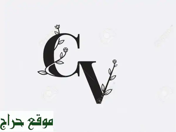 سيرة ذاتية احترافية جاهزة خلال ساعتين فقط! (20 درهم فقط)