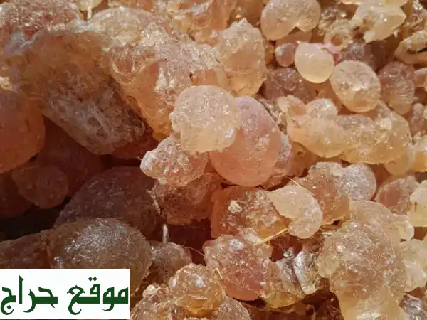 صمغ عربي هشاب سوداني (درجة أولى) - 40 طن متوفرة الآن! جودة عالية و سعر مميز