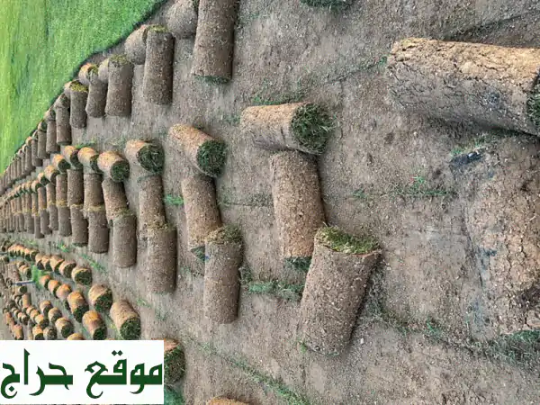 مسطحات خضراء للبيع في الإمارات: استثمر في مستقبل أخضر!