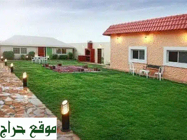 أبو أحمد: تحويل منزلك إلى جنة! تنسيق حدائق،...