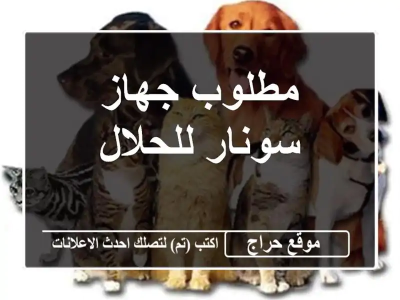 مطلوب جهاز سونار للحلال
