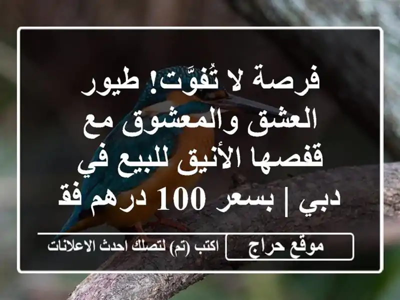 فرصة لا تُفوَّت! طيور العشق والمعشوق مع قفصها...