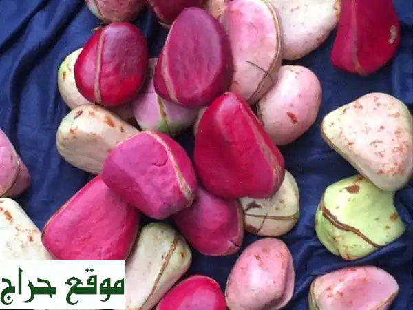 ألذ المنتجات الطبيعية الفاخرة: سمسم، كركديه، قورو، كاجو - صحة وطاقة بين يديك!