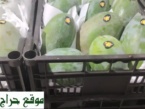 مانجو كيت وليمون شعيري مصري للتصدير | عروض جملة...