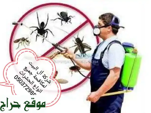 شركة أل لمكافحة الحشرات بجدة: خبراء 20 عامًا |...