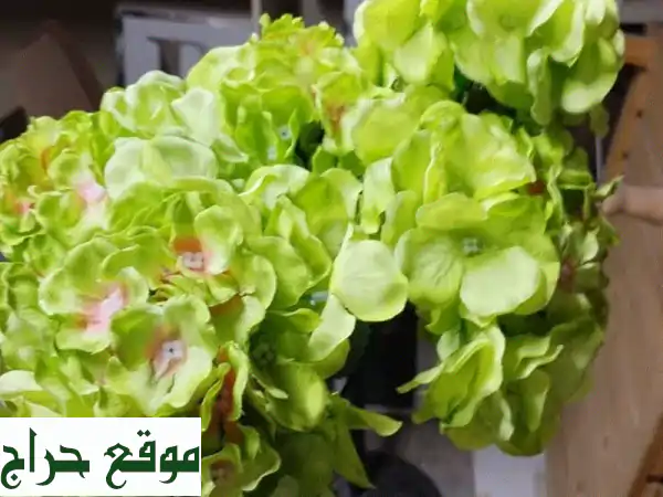 اجعل مناسبتك تتألق! 🌟 متفرقات وديكورات حفلات للبيع في أبوظبي | ورد، كراسي، فازات والمزيد