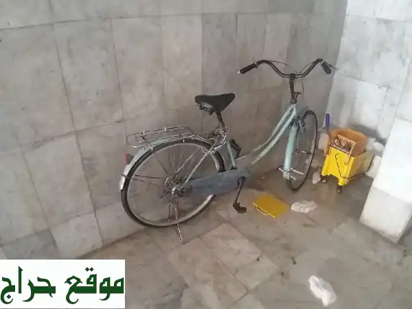فرصة لا تفوت! 3 دراجات هوائية بحالة ممتازة بسعر 170...