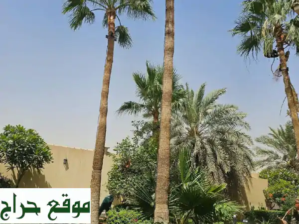 تصميم وتنفيذ وصيانة حدائق منزلية متميزة | خبرة 8 سنوات+