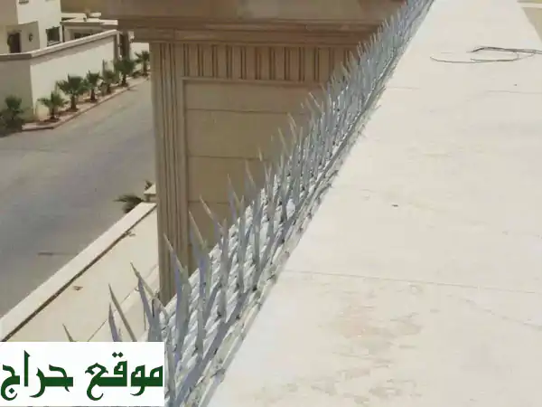 طراد حمام ومكافحة الحشرات في الدمام الخبر...