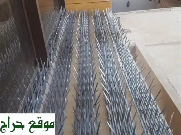 طراد حمام ومكافحة الحشرات في الدمام الخبر والقطيف والجبيل