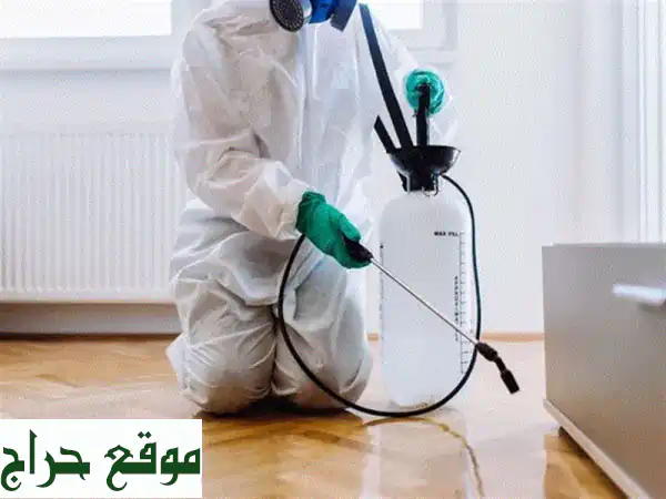 مكافحة الحشرات: حماية منزلك وعائلتك بخدمات احترافية