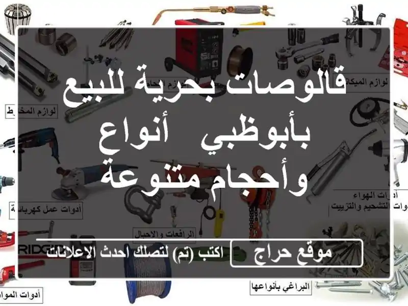 قالوصات بحرية للبيع بأبوظبي - أنواع وأحجام متنوعة