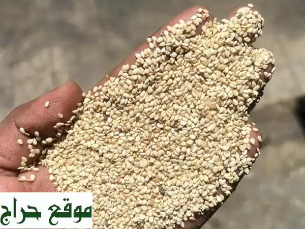 سمسم أبيض سوداني من قضارف: جودة استثنائية، طعم...