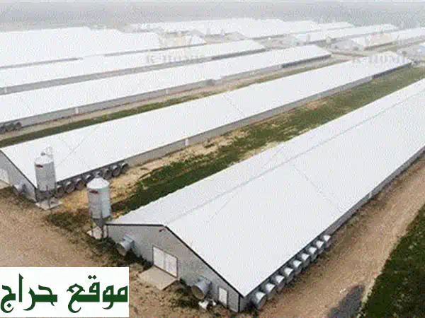 أفضل حضائر دواجن وهناجر ومستودعات: تصميم...