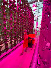 مستشار زراعي دولي – حلول متكاملة للزراعة...