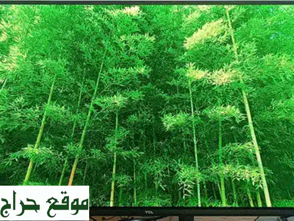 تلفزيون BOSS LED للبيع: شاشة بحالة ممتازة وسعر قابل للتفاوض! ترقية لمنزلك.