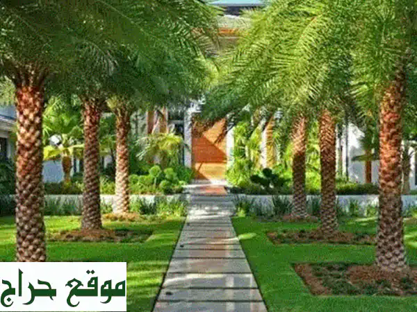 عروض العام الجديد: خصم 20% على تصميم لاند سكيب فاخر | حول مساحتك لقطعة فنية!