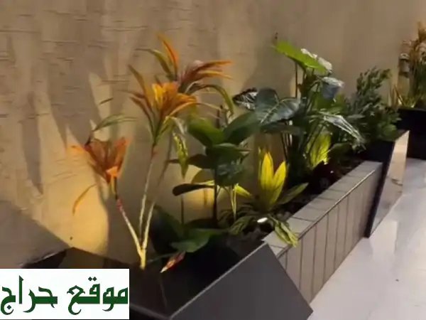 تنسيق حدائق الدمام والخبر | حول حديقتك إلى جنة الأحلام مع خبرائنا!