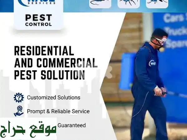 وداعاً للحشرات نهائياً! رش مبيدات احترافي...