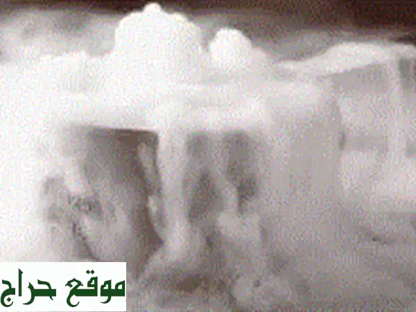 يتوفر لدينا الثلج الجاف بالكيلو لجميع...