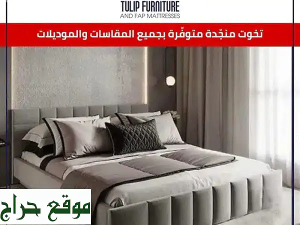 تخوت منجدة في لبنان: أكبر تشكيلة، توصيل مجاني ودفع بعد الاستلام!