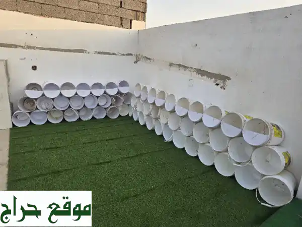 سطول بلاستيك كبيرة ومتينة (مع/بدون غطاء) | حلولك المثالية لمربين الحمام، الدجاج، محلات الحليب، المطابخ والمشاتل