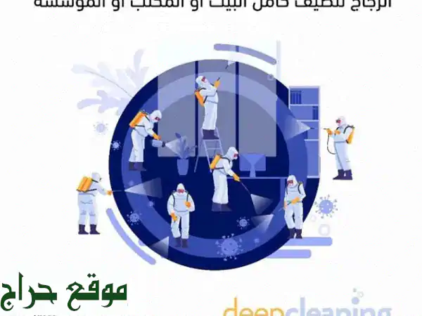 Professional Deep CLean